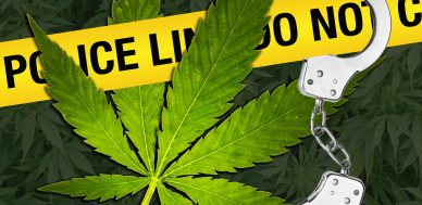 Crackdown on Marijuana
