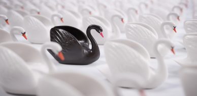 Vulnerability to Black Swan Event